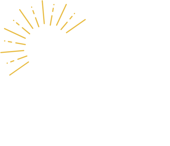 Lunch Plate
